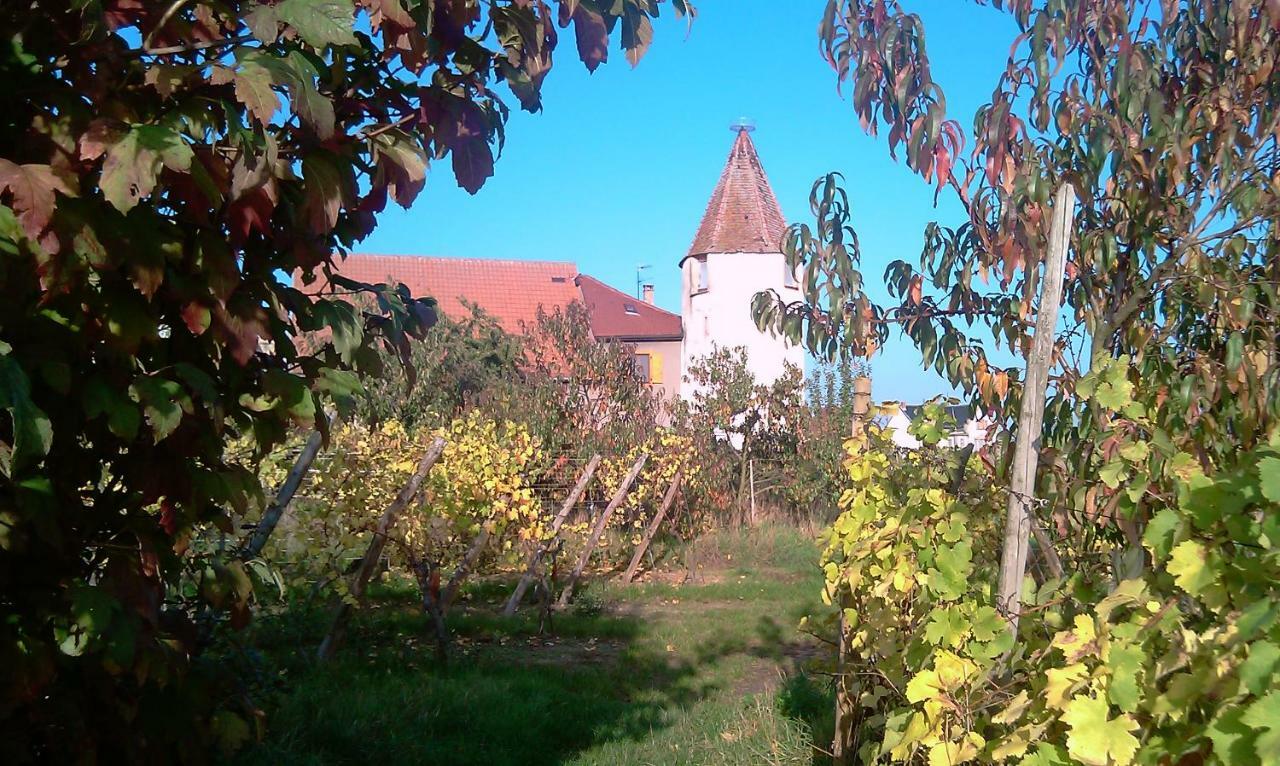 Les Gites De La Tour, Appartement "La Plaine" Saint-Hippolyte Kültér fotó